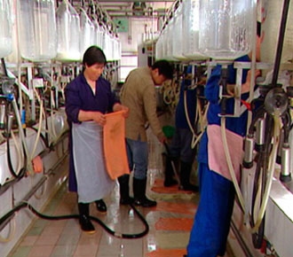 次氯酸鈉消毒液生產(chǎn)